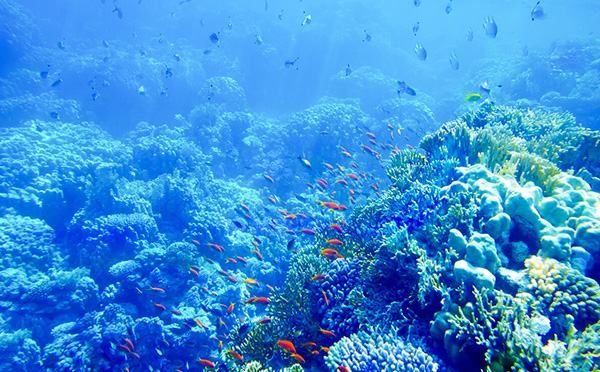 海洋開發(fā)的重要性及意義 海洋開發(fā)的重要性及意義