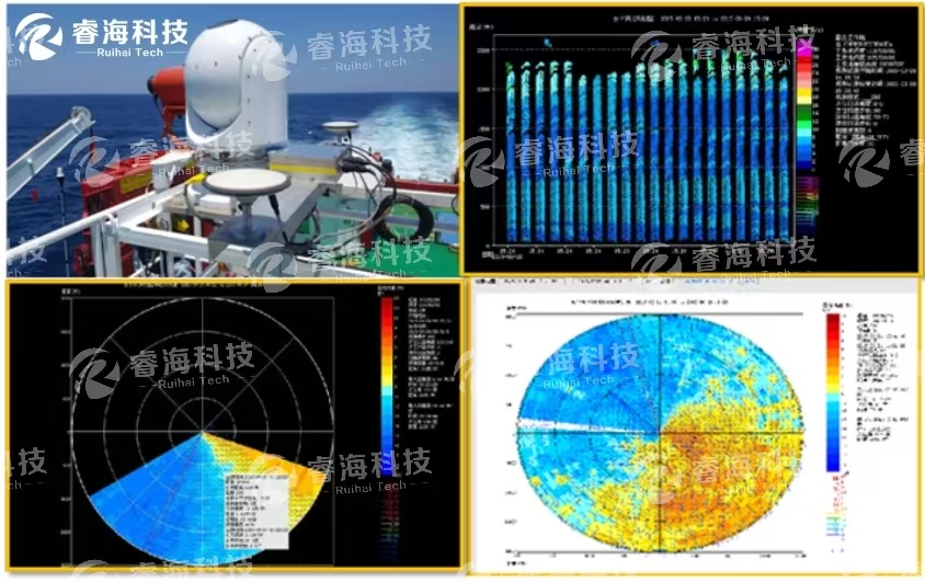 微信圖片_20250226090335 微信圖片_20250226090335